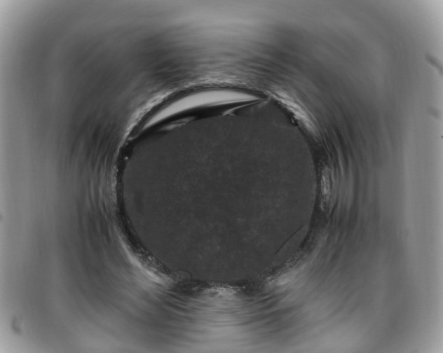 X0000095910492200801181359