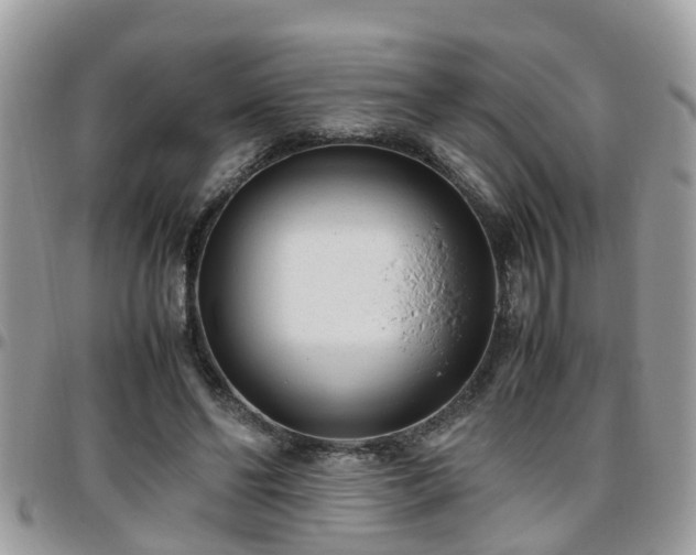 X0000095910494200801181359