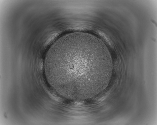 X0000095910495200801181359