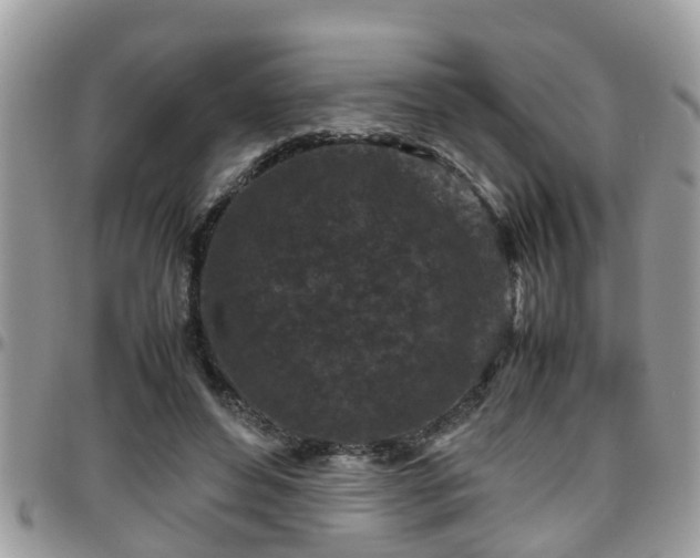 X0000095910496200801181359