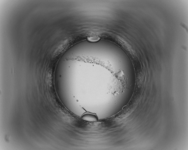 X0000095910497200801181359