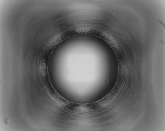 X0000095910498200801181359