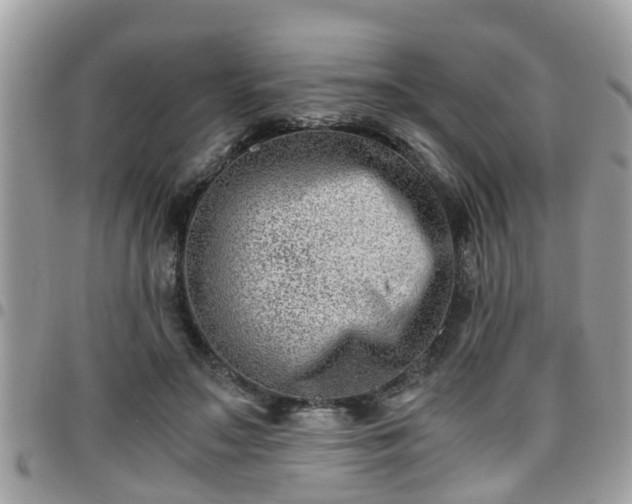 X0000095910499200801181359