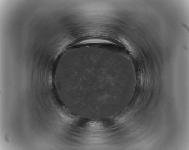 X0000095910500200801181359