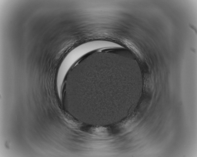 X0000095910501200801181359