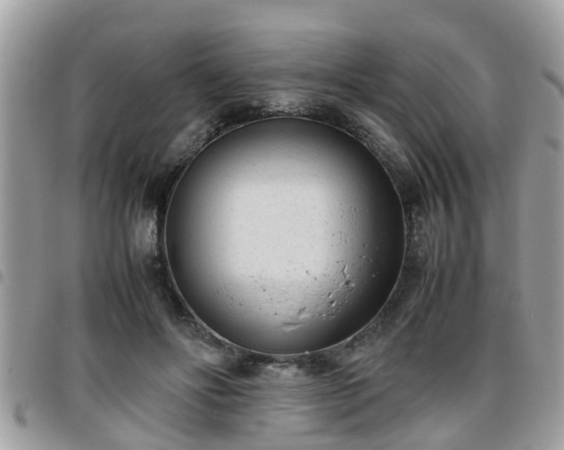 X0000095910502200801181359