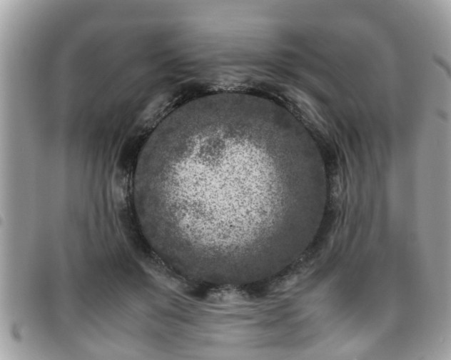 X0000095910503200801181359