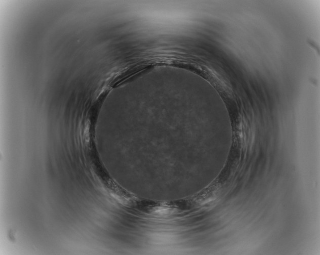 X0000095910504200801181359