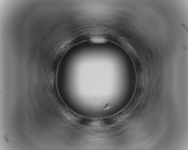 X0000095910505200801181358