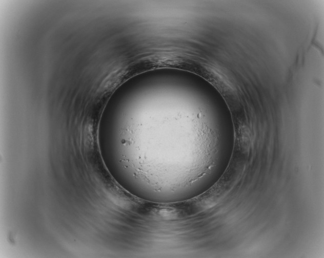 X0000095910506200801181358