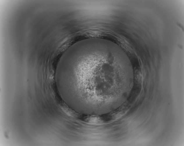 X0000095910507200801181358