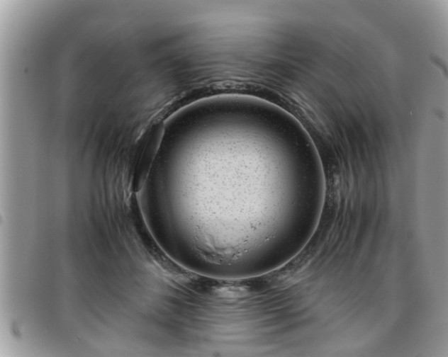 X0000095910508200801181358