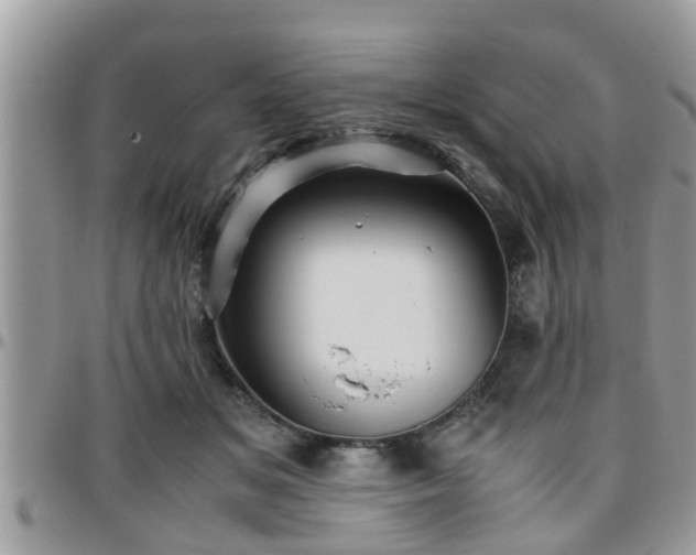 X0000095910509200801181358