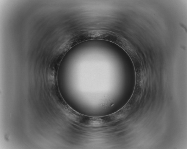 X0000095910510200801181358