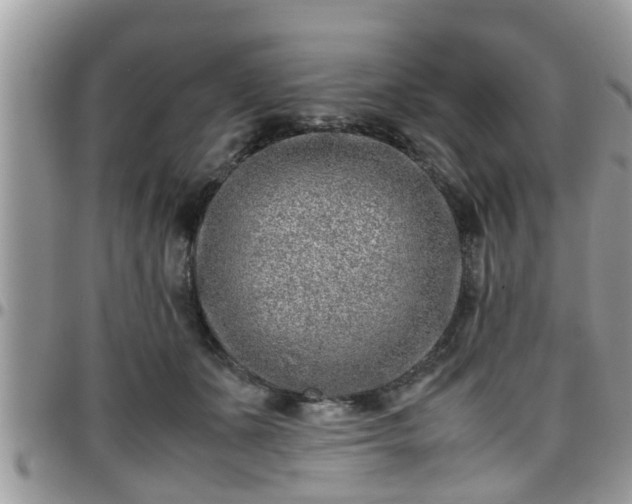 X0000095910511200801181358