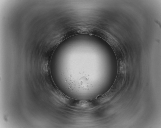 X0000095910514200801181358