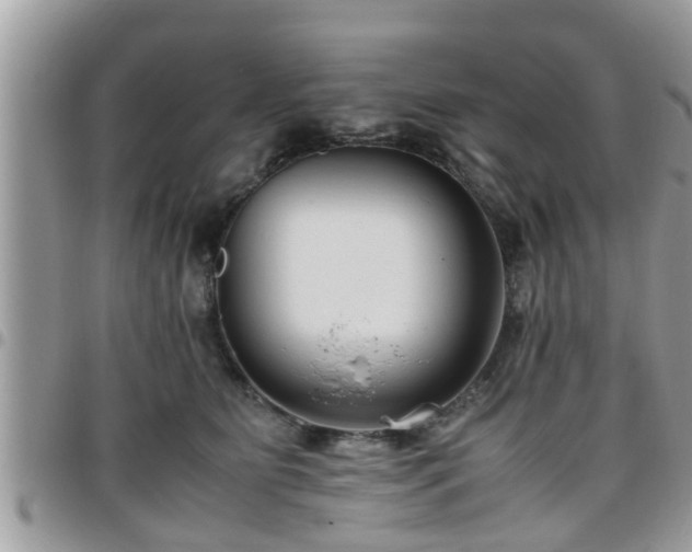 X0000095910515200801181358