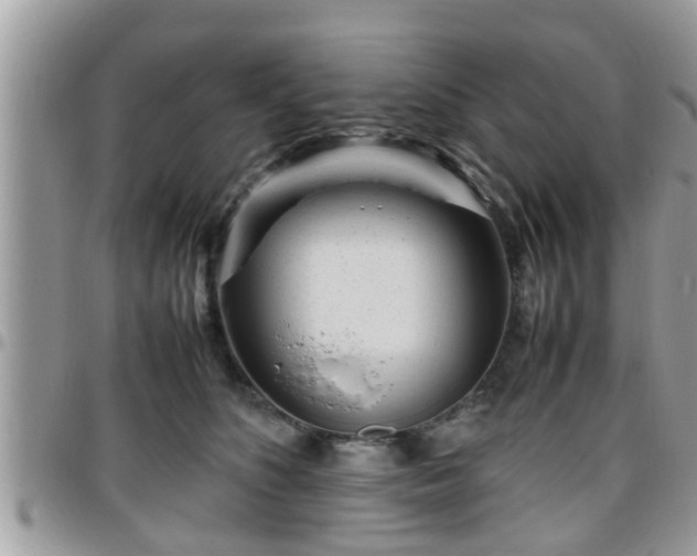 X0000095910516200801181358