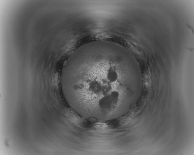 X0000095910519200801181358