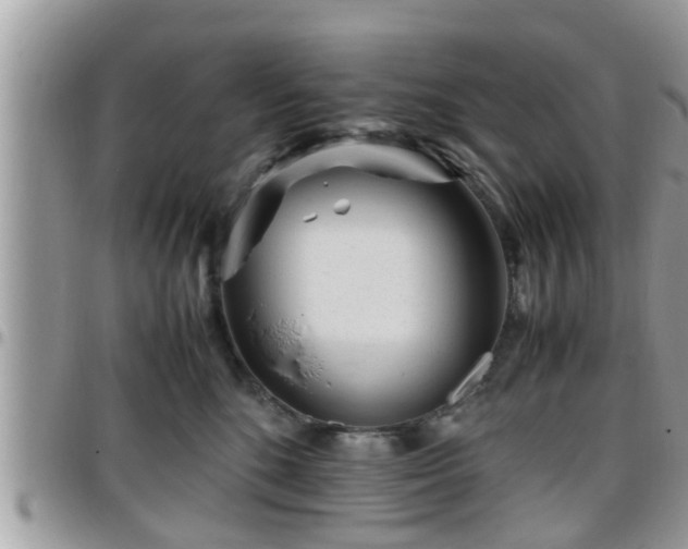 X0000095910520200801181358