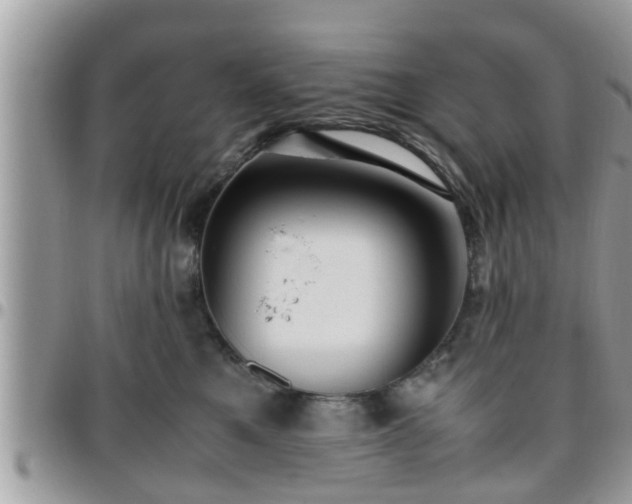 X0000095910521200801181358