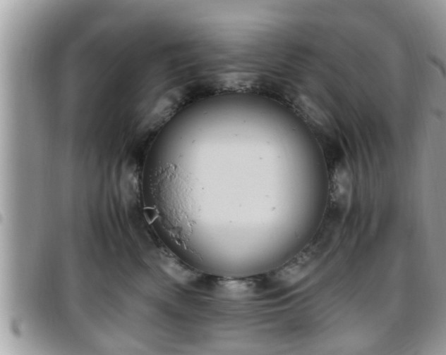 X0000095910522200801181358