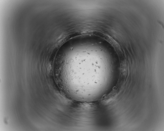 X0000095910523200801181358