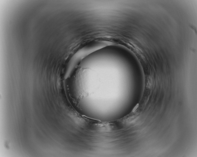 X0000095910524200801181358