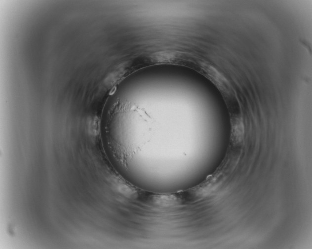 X0000095910525200801181358