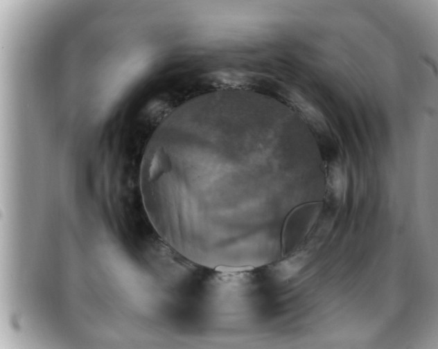 X0000095910526200801181358