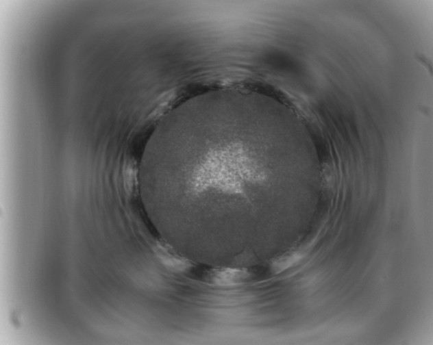 X0000095910527200801181358