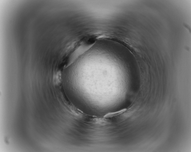 X0000095910528200801181358