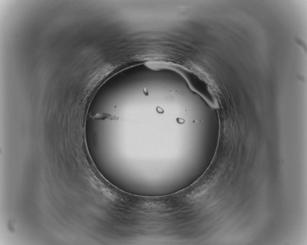 X0000095910529200801181358