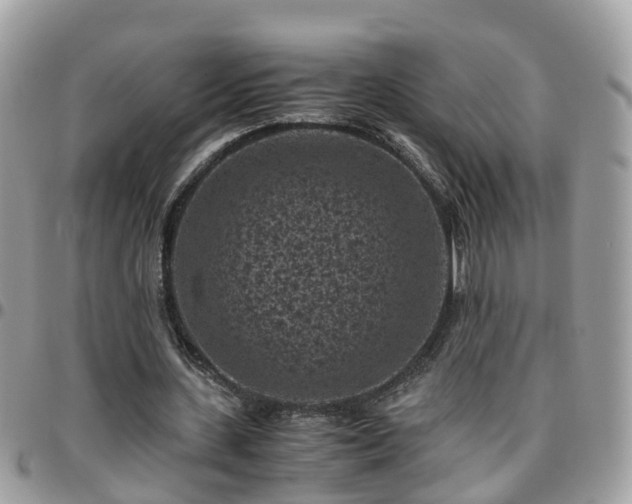 X0000095910531200801181358