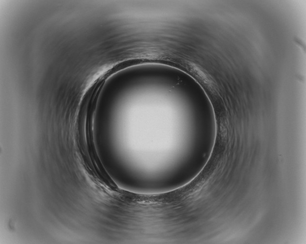 X0000095910532200801181358