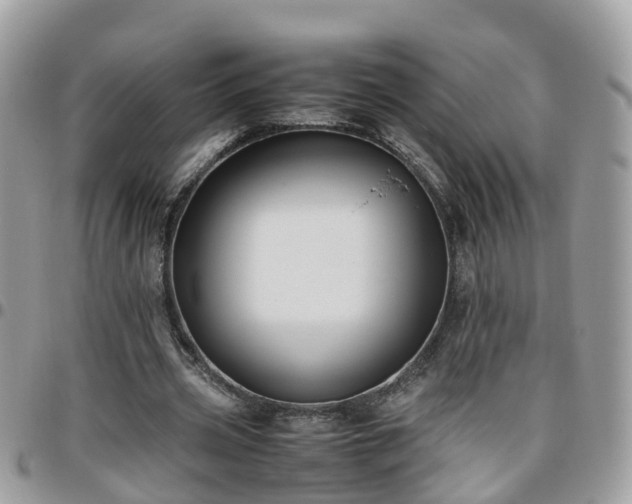 X0000095910533200801181358