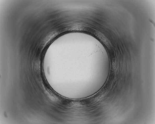 X0000095910534200801181358