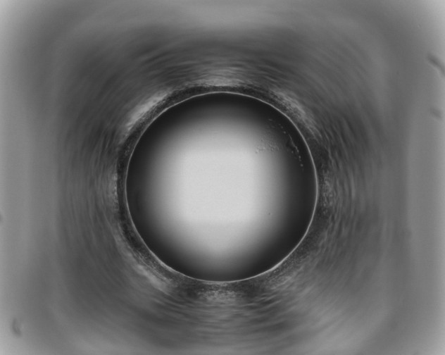 X0000095910535200801181358