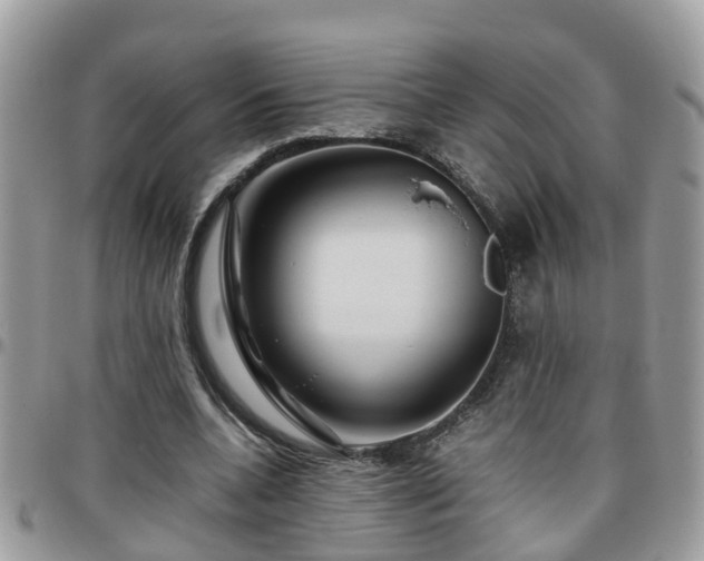 X0000095910536200801181358