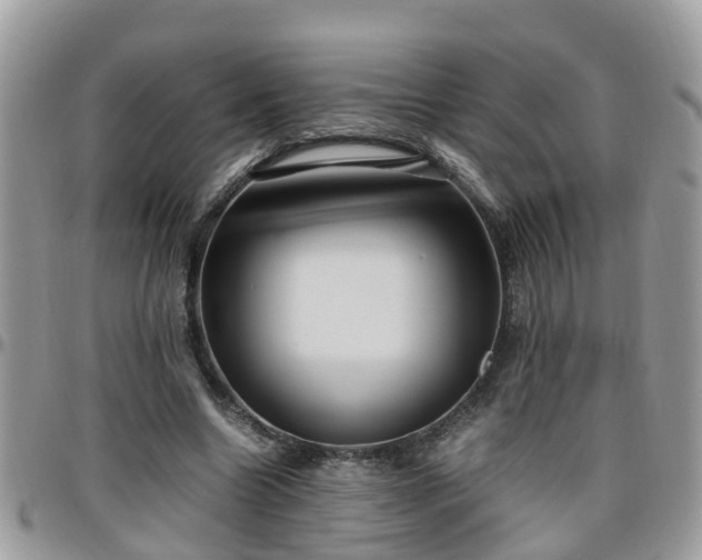 X0000095910538200801181358