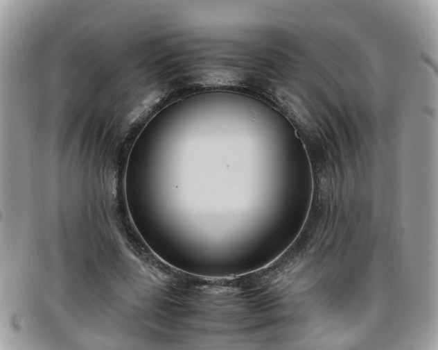 X0000095910539200801181358