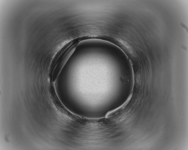 X0000095910540200801181358