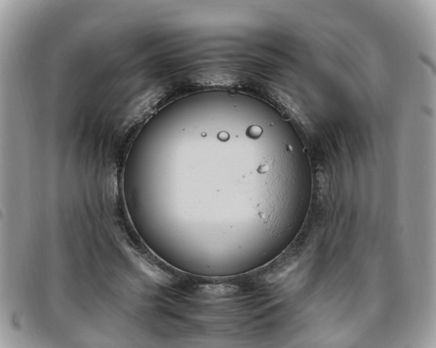 X0000095910541200801181358