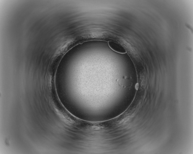 X0000095910542200801181358