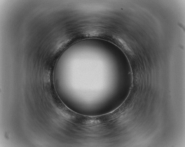 X0000095910543200801181358