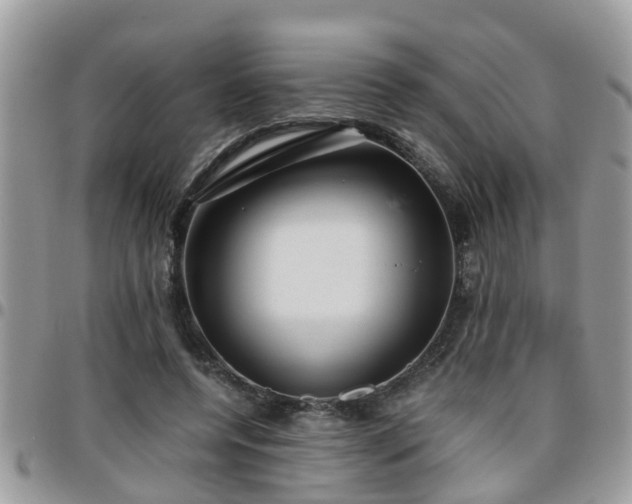 X0000095910544200801181358