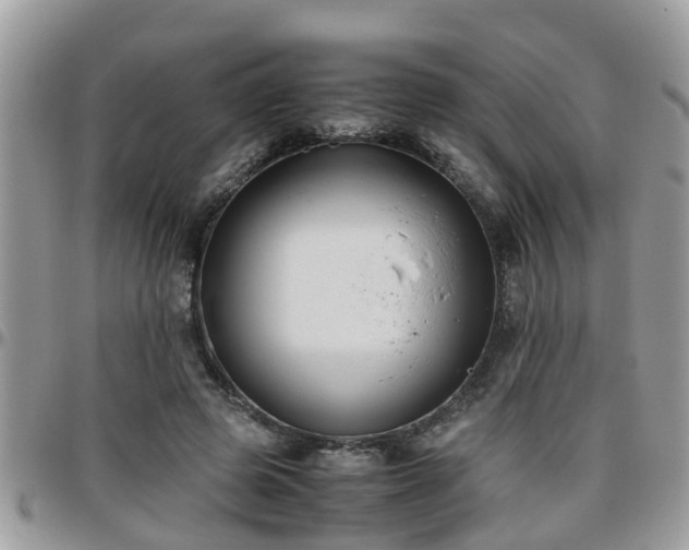 X0000095910545200801181358