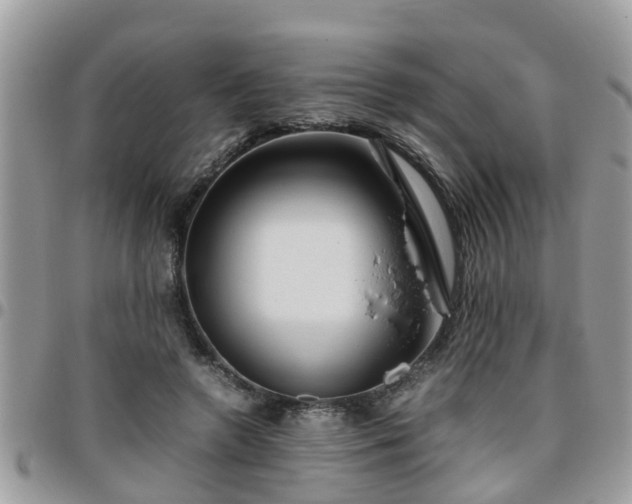 X0000095910546200801181358