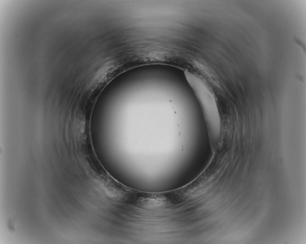 X0000095910548200801181358