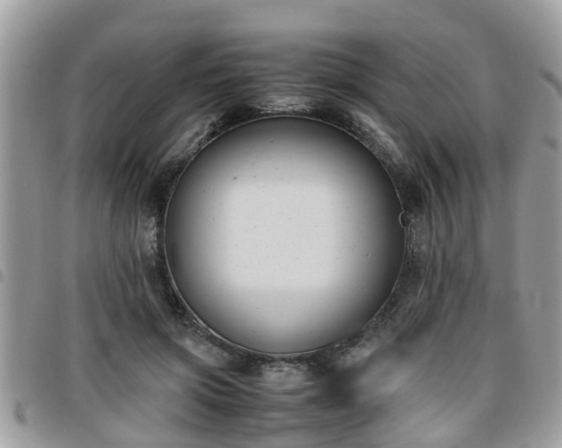 X0000095910549200801181358